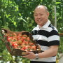 Raymond Wong, founder of Origin Organic Farms Inc., shows some greenhouse-grown tomatoes marketed by The Oppenheimer Group. Grower-shippers say greenhouse products are becoming more popular as consumers adopt more healthful eating habits.