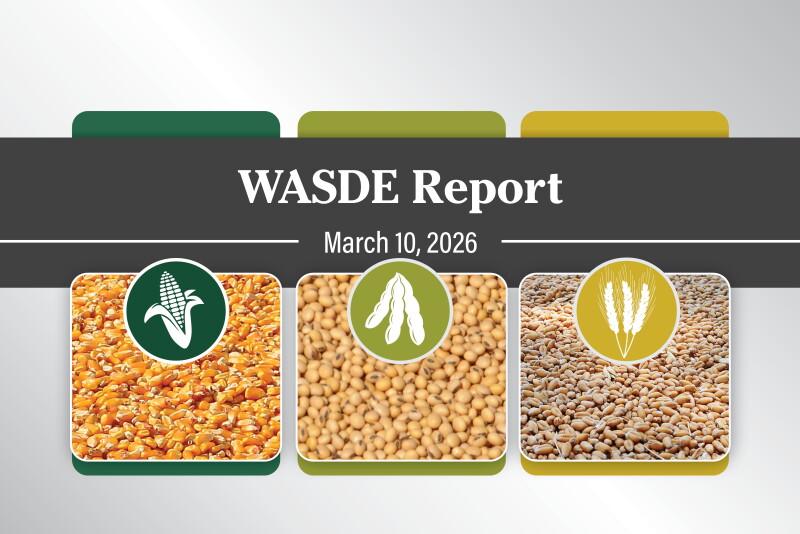 Wasdwe Key takeaways from the March WASDE report - Pro Farmer