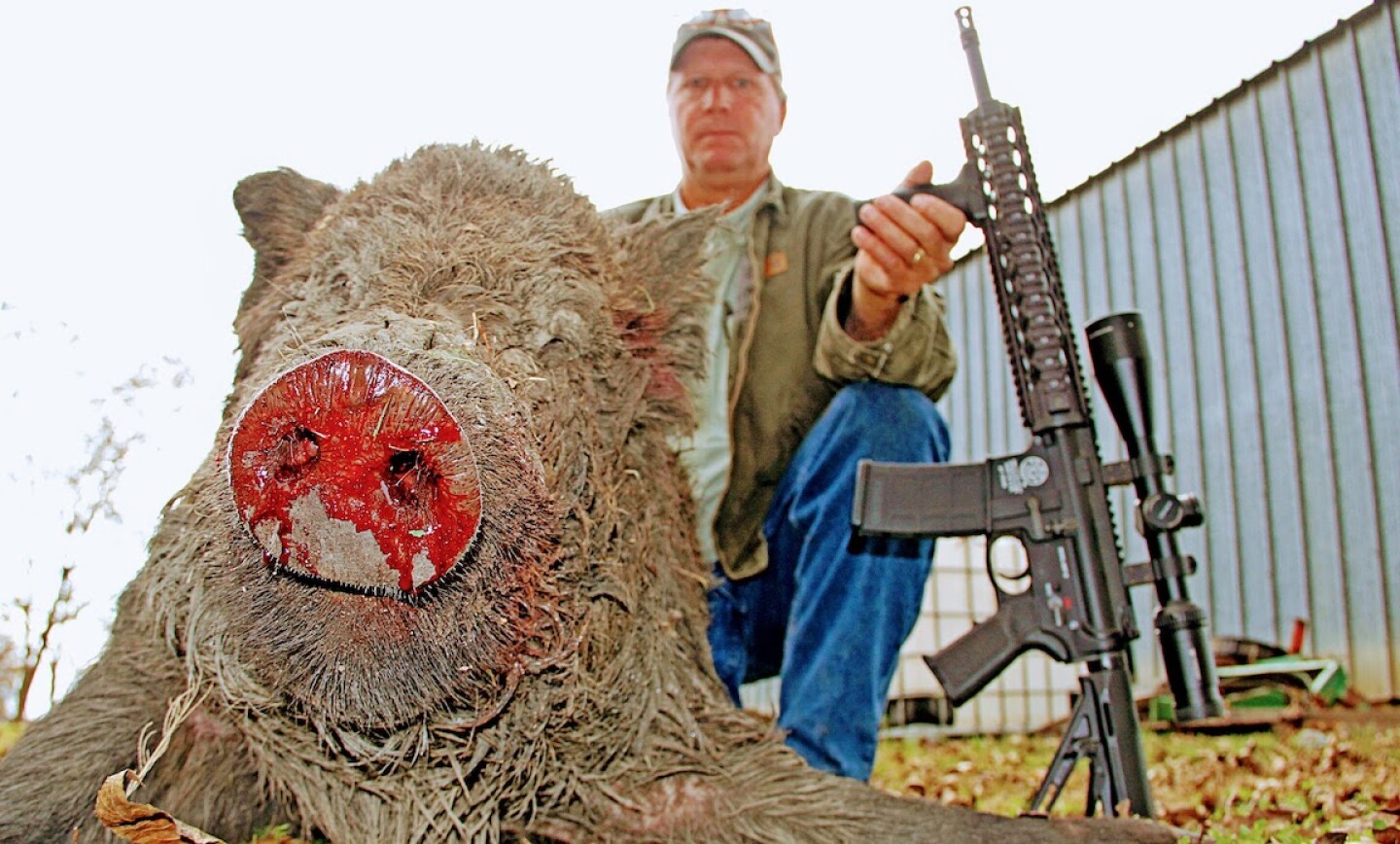 AR%20WILD%20PIG.JPG