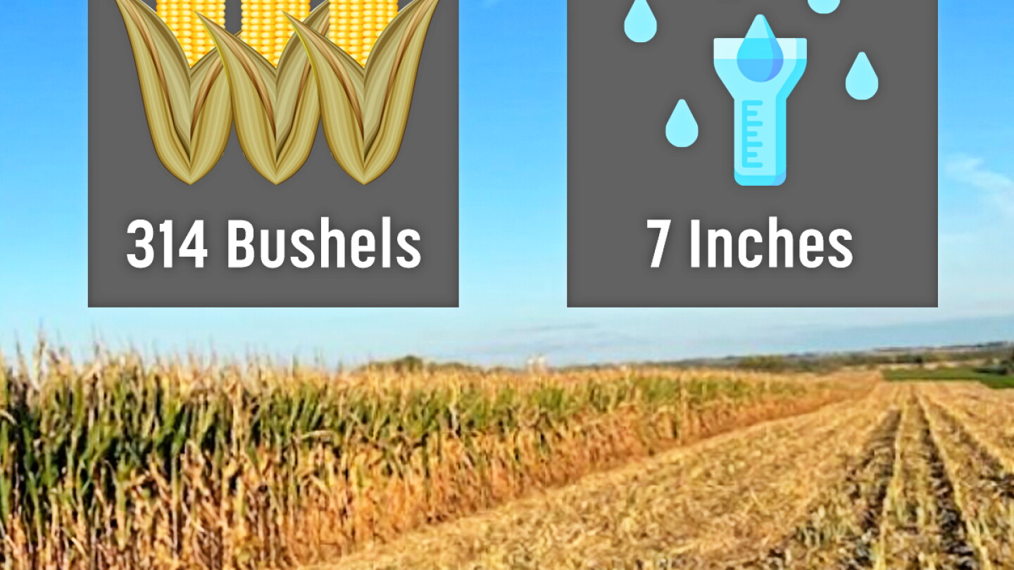 314 Bu. Corn Yield Uses Only 7" of Rain to Score Big Win in Minnesota ...