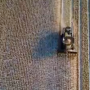 Farmers outside of Grand Forks, North Dakota are busying harvesting this week. Despite the snow, farmers say moisture content in the corn is coming down slightly and test weight is seeing a slight bump. 