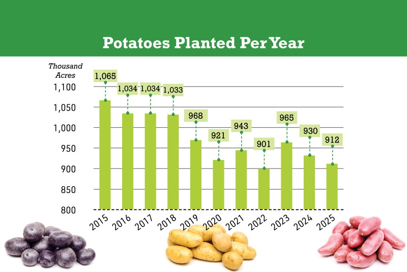 Potatoes Graph Potato Plantings in 2025 Down Slightly - The Packer