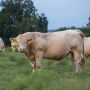 Breeding season is just weeks away