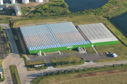BrightFarms' recent expansion at its Rochelle, Ill., facility allows the company to expand distribution at Chicago-area retail stories.