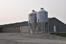Pig Farm in Iowa
