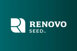 Renovo Seed.PNG