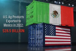 During a bilateral meeting on Thursday, U.S. Trade Representative Katherine Tai discussed with Mexico's Secretary of Economy Tatiana Clouthier various issues concerning energy and biotech corn.