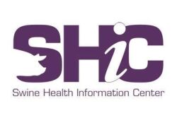 SHIC Logo