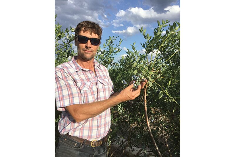 Bradley O’Neal Jr. of Coosaw Farms shows off some of the company’s blueberries.
