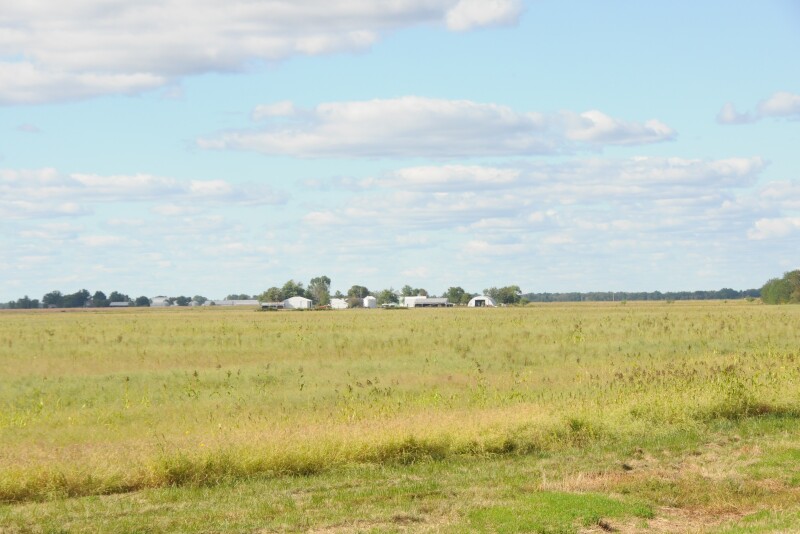 Prevented planting decisions are always difficult, but market and policy dynamics make 2019 decisions even more difficult.