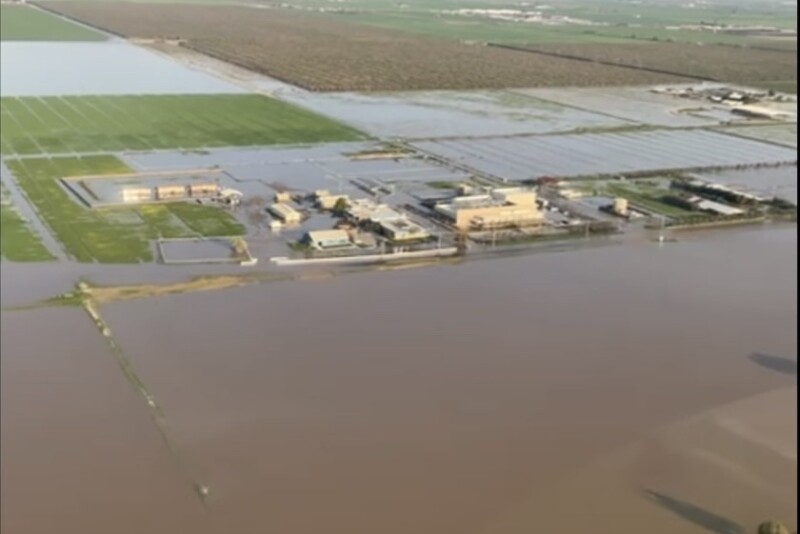 California Dairy Flooding