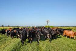 Blackbeard's Ranch