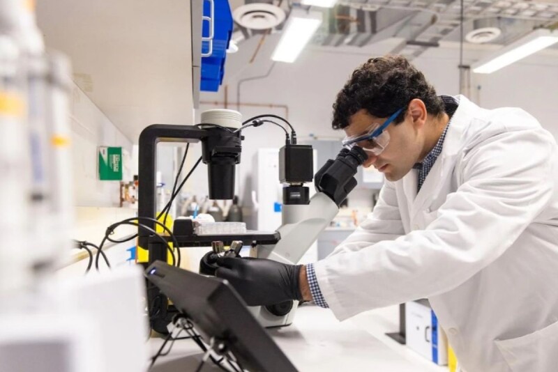 Adham Ali, A24, examines specimens under a microscope in the Kaplan Lab. 