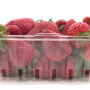packaged-strawberries.jpg