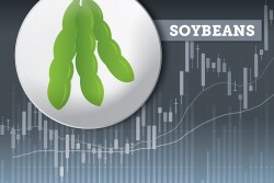 2022 Markets Soybeans