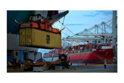 Port Savannah