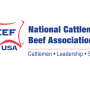NCBA