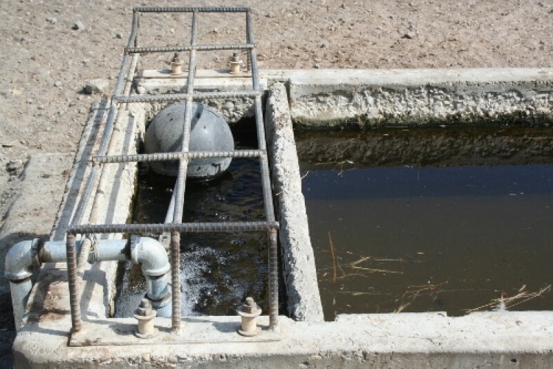 In discussions of cattle health and nutrition, we sometimes overlook the most important nutrient of all: water. 