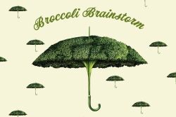 broccoli umbrella