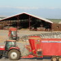 Better genetics, feed and management have allowed dairy productivity to soar.