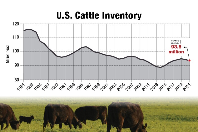 Cattle inventory