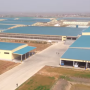 Modern_Dairy_Farm_China