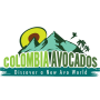 Colombia Avocado Board