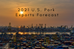 Exports Forecast