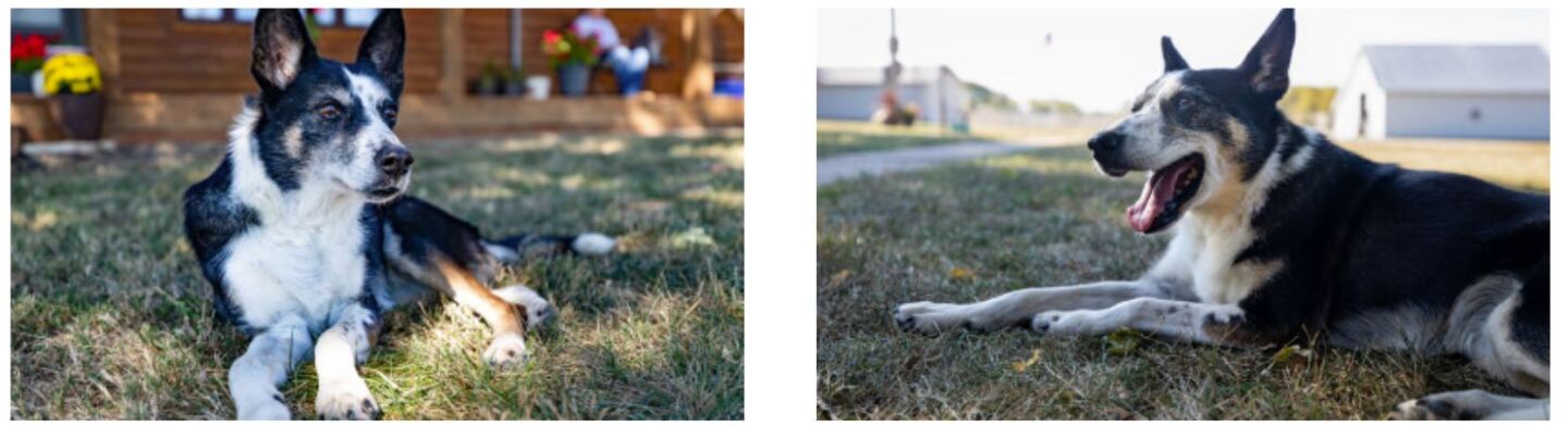 Tough.JPG