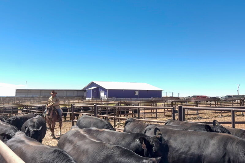 New World Record: G A R Market Maker Valued at $2.1 Million After ...