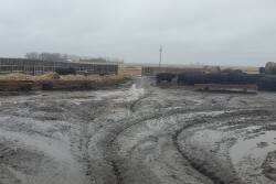 Mud.jpg
