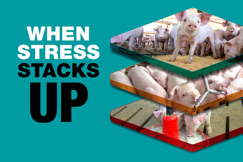 When Stress Stacks Up teal