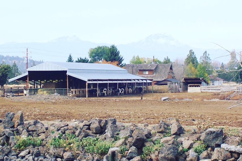 childhood family farm