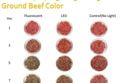 retail_lighting_ground_beef