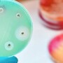 Antimicrobial Resistance - USDA APHIS