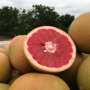Wonderful Citrus Texas