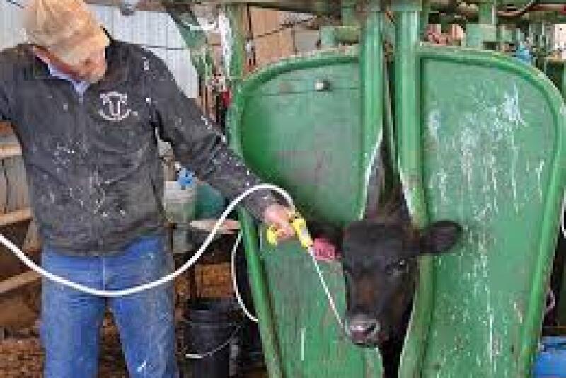 Deworming in the fall can help control internal and external parasites.