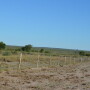 South Texas Fence Drought
