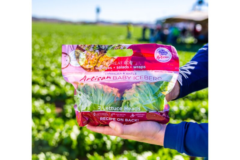 Tanimura & Antle's new artisan baby iceberg lettuce.