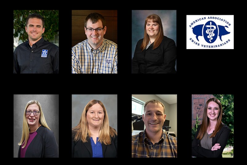 AASV Scholarship Winners
