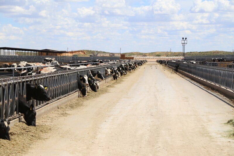 High Plains Dairy Conference