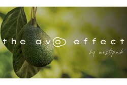 The-Avo-Effect-MAIN1-small.jpg