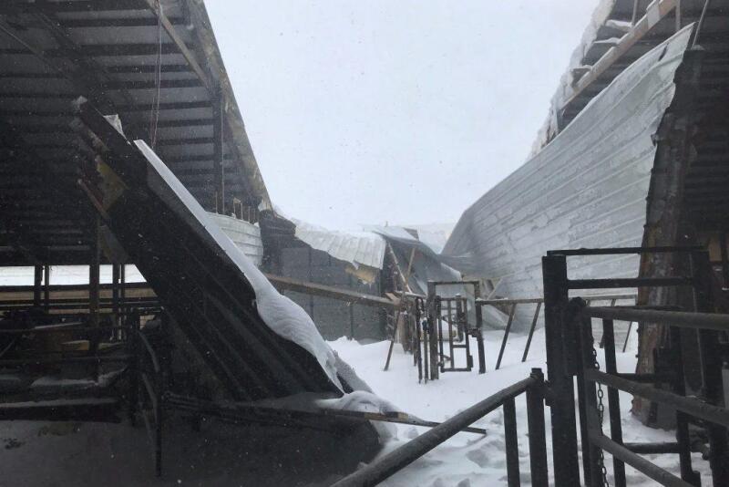 A stock photo of a barn collapse following a snow storm. 