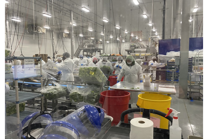 Bix Produce