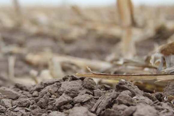 nebraska-soil-cornfield.jpg