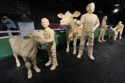 butter cow