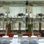 Thermodynamics of Rumen VFA Studied