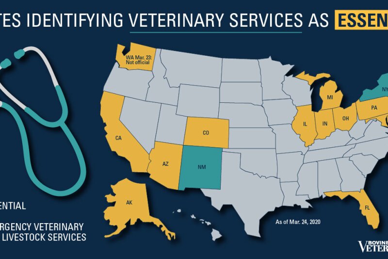 More states are recognizing the need for veterinarians and their services in the fight against COVID-19.