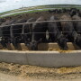 Stock feedlot image