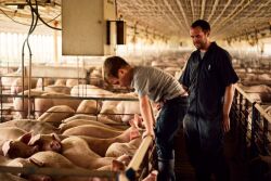 Chad Bell Family in Pig Barn
